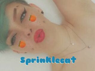 Sprinklecat