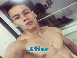 Stier