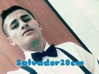 Salvador20cm