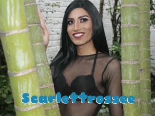 Scarlettrossee