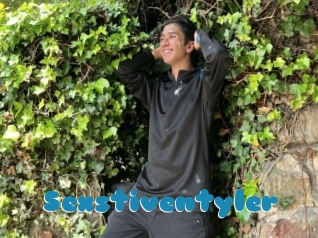 Sexstiventyler
