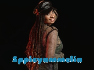 Sppicyammelia