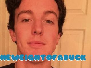 THEWEIGHTOFADUCK