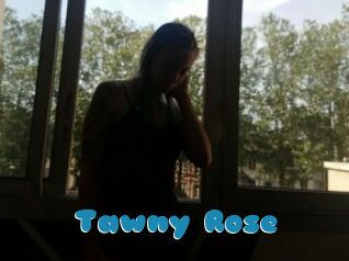 Tawny_Rose