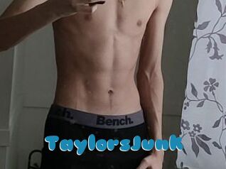 TaylorsJunk