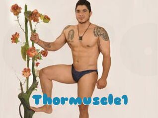 Thormuscle1