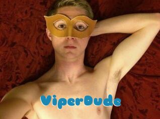 ViperDude