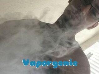 Vapor_genie