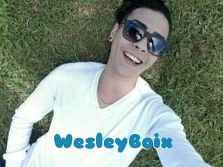 Wesley_Boix