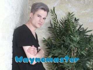 Waynemaster