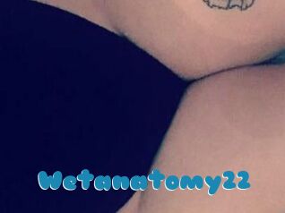 Wetanatomy22