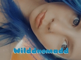 Wilddnomadd