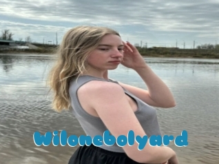 Wilonebolyard